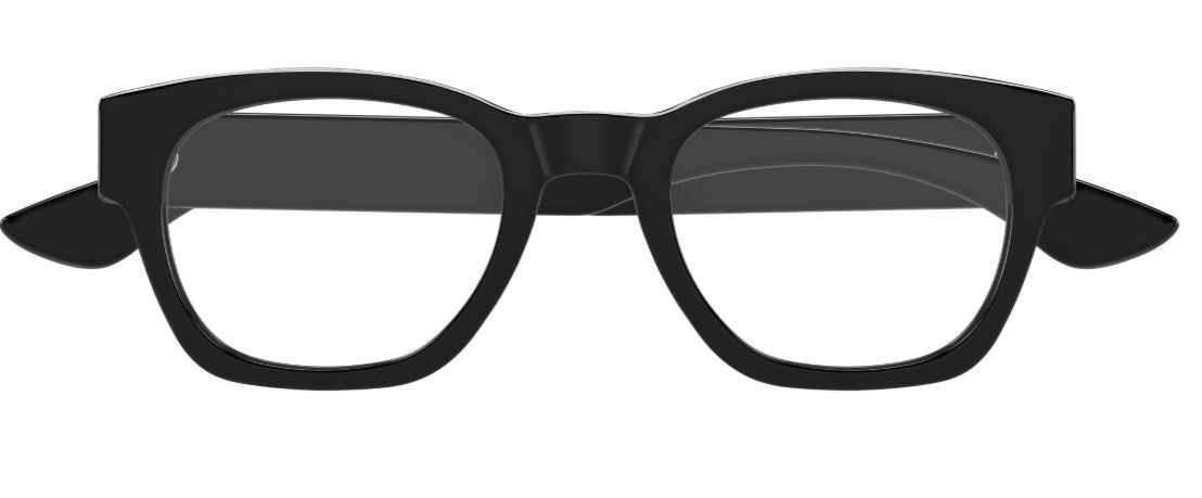 Korrektionsbrillen Alexander McQueen Logo AM0530O