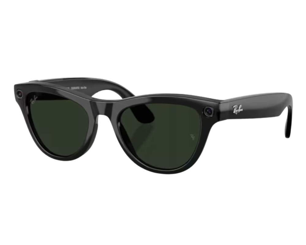 Ray-Ban Meta Skyler Gen 2 RW4014 Sunglasses