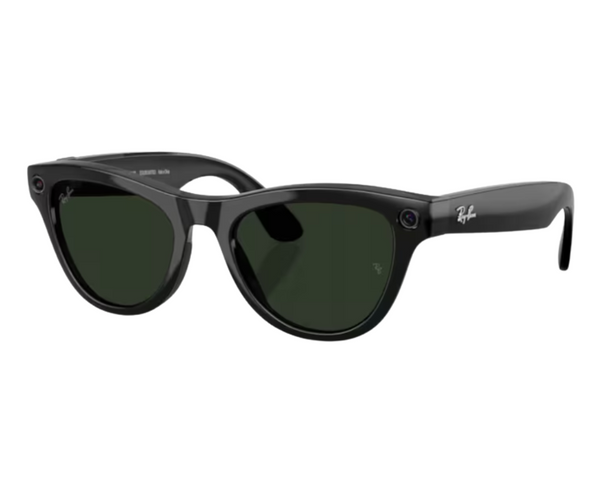 Ray-Ban Meta Skyler Gen 2 RW4014 Sunglasses