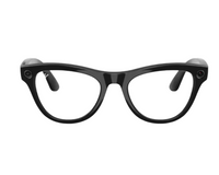 Ray-Ban Meta Skyler Gen 2 RW4014 Sunglasses