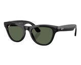Ray-Ban Meta Skyler Gen 2 RW4014 Sunglasses