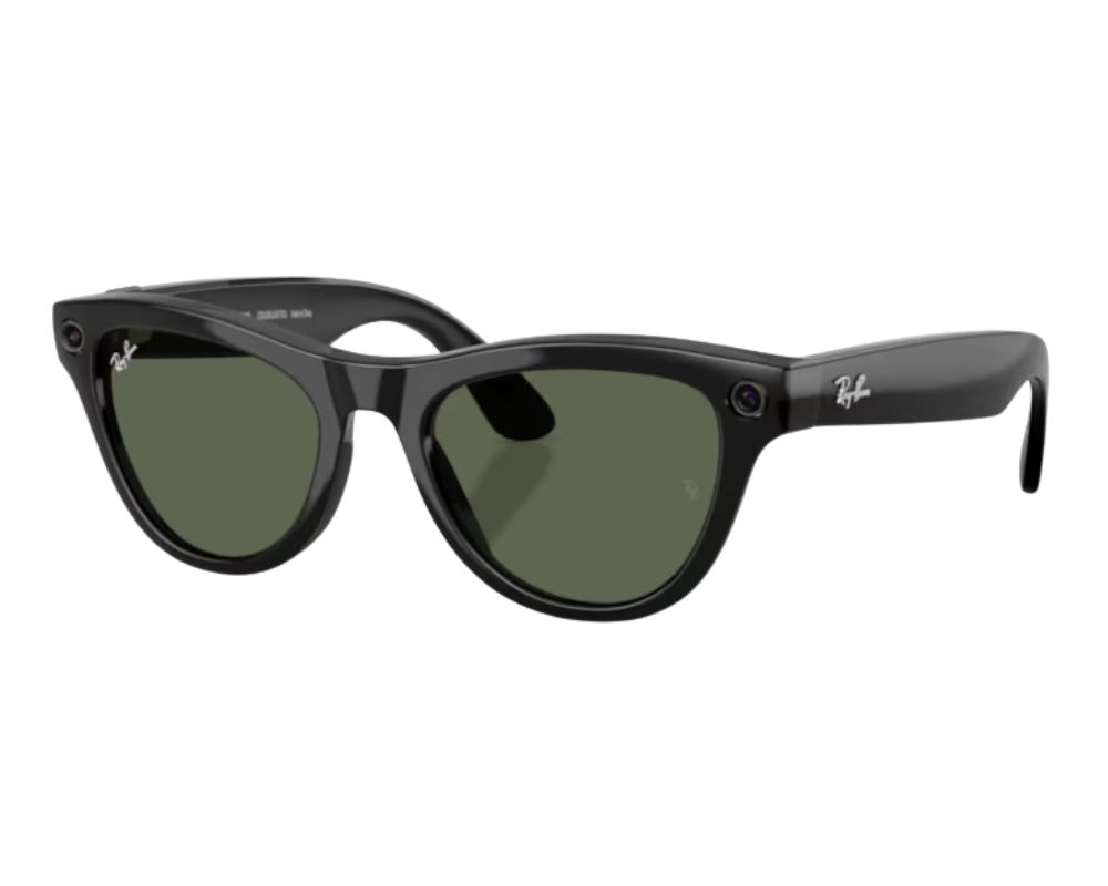 Ray-Ban Meta Skyler Gen 2 RW4014 Sunglasses