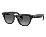 Ray-Ban Meta Skyler Gen 2 RW4014 Sunglasses