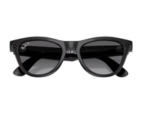 Ray-Ban Meta Skyler Gen 2 RW4014 Sunglasses