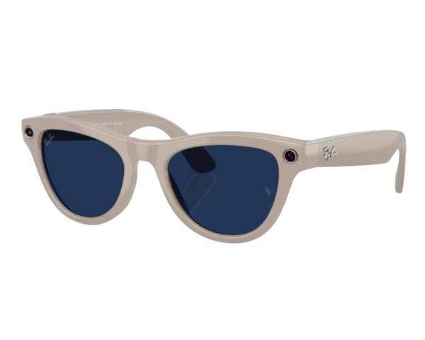 Ray-Ban Meta Skyler Gen 2 RW4014 Sunglasses