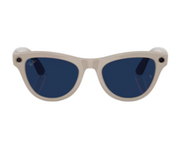 Ray-Ban Meta Skyler Gen 2 RW4014 Sunglasses