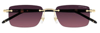 Montblanc Meisterstück MB0344S Sunglasses