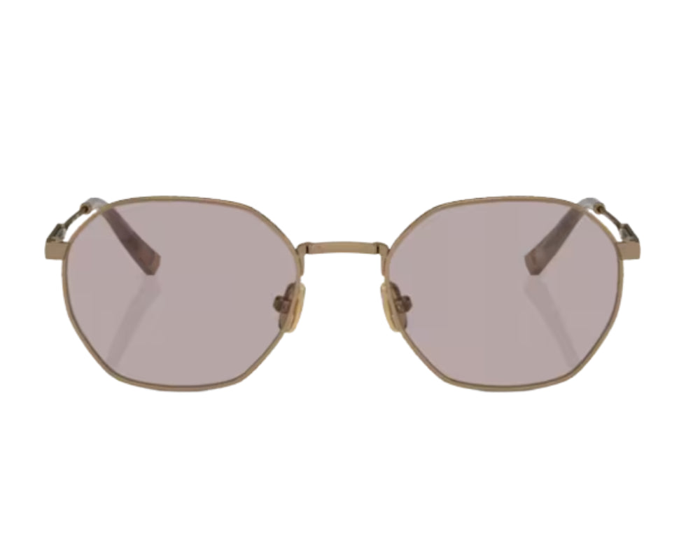 Gafas de sol Brunello Cucinelli BC2003ST