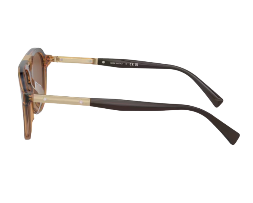 Brunello Cucinelli BC4001S Sunglasses