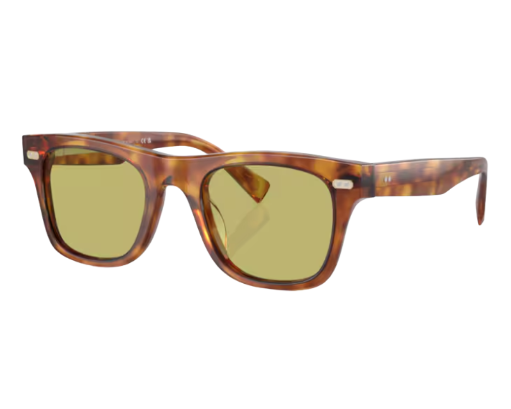Brunello Cucinelli BC4002S sunglasses
