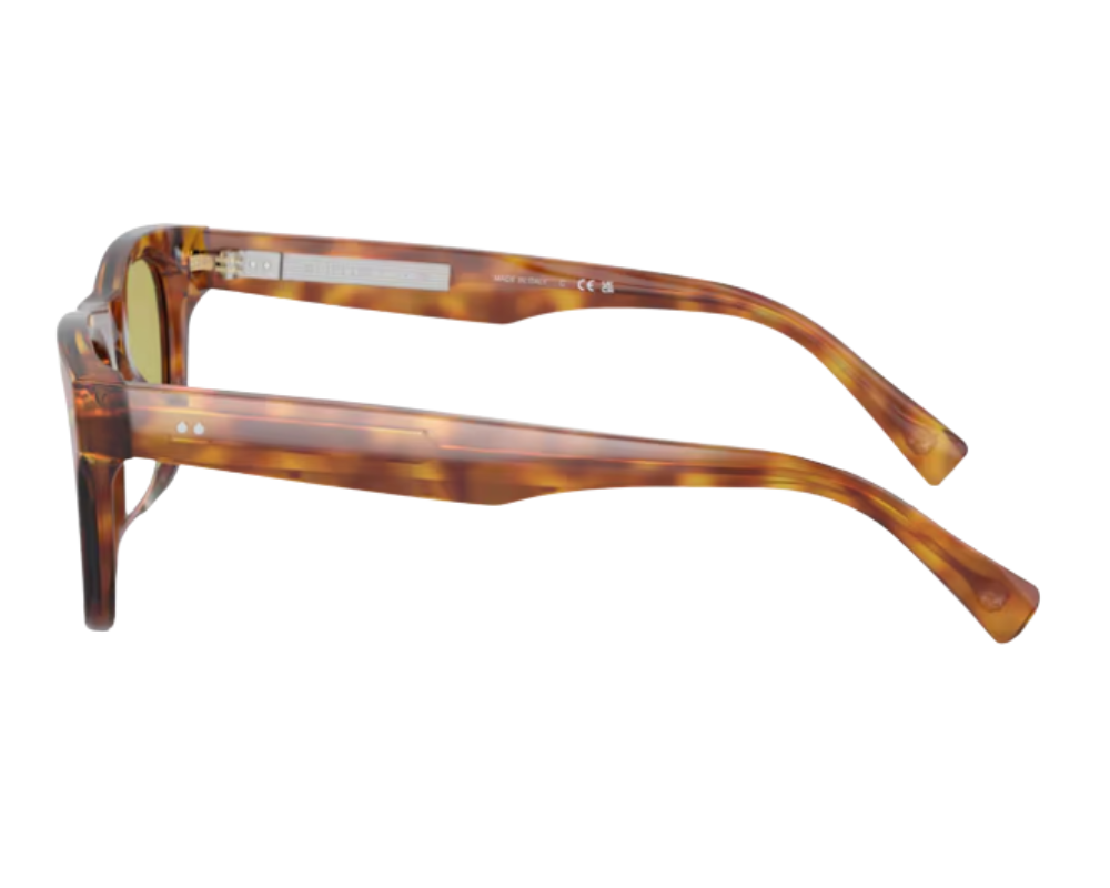 Brunello Cucinelli BC4002S sunglasses