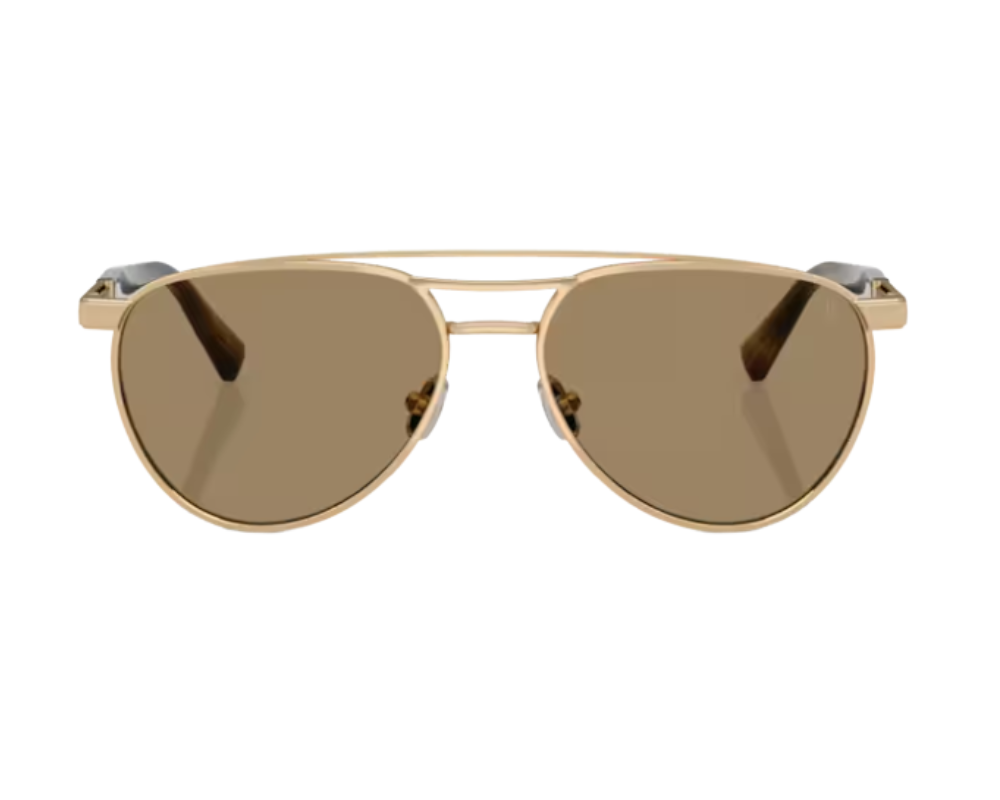 Gafas de sol Brunello Cucinelli BC2007SM