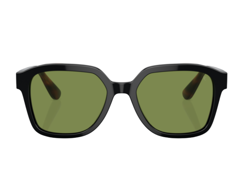 Brunello Cucinelli BC4005S Sunglasses