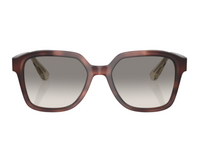 Brunello Cucinelli BC4005S Sunglasses