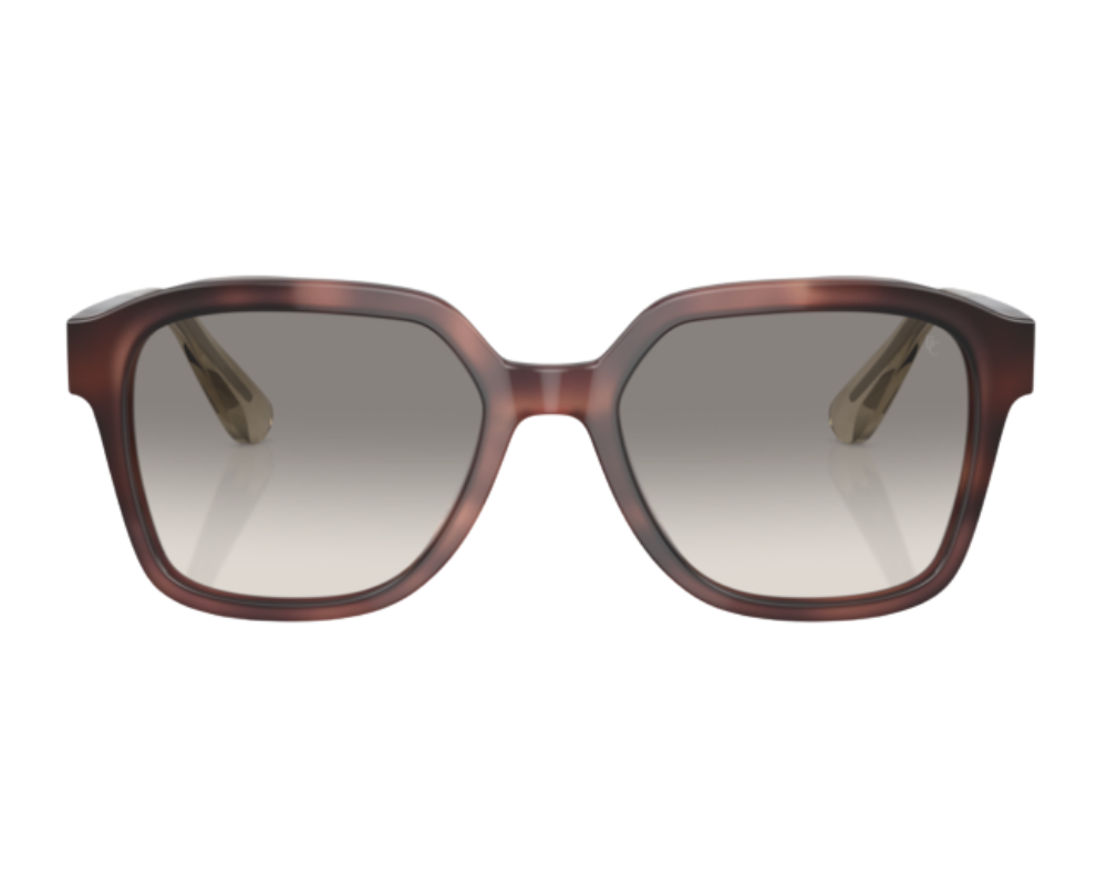 Brunello Cucinelli BC4005S Sunglasses
