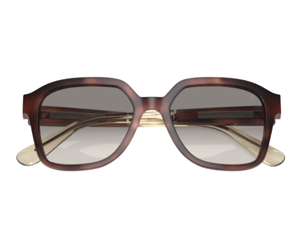 Brunello Cucinelli BC4005S Sunglasses