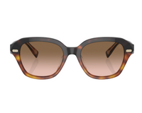 Brunello Cucinelli BC4004S sunglasses