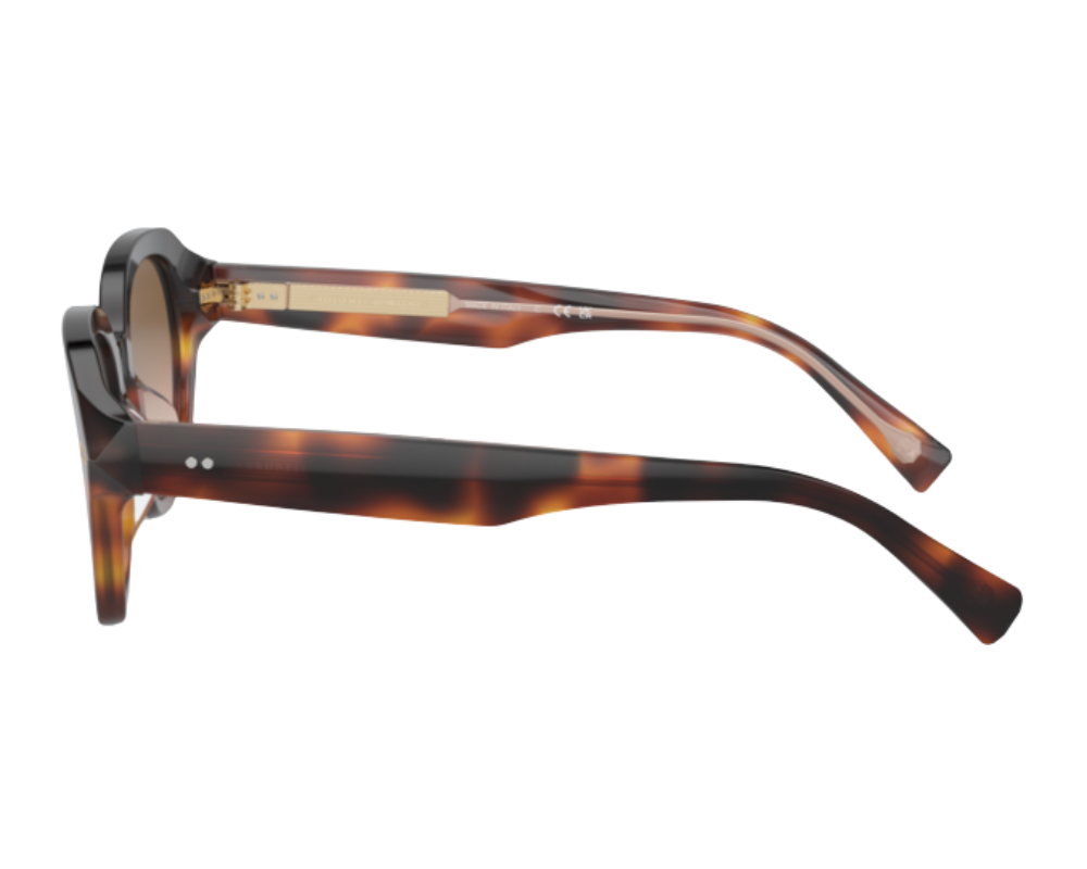 Brunello Cucinelli BC4004S sunglasses