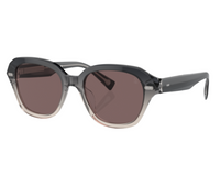 Brunello Cucinelli BC4004S sunglasses