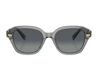Brunello Cucinelli BC4004S sunglasses