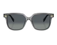 Brunello Cucinelli BC4010S Sunglasses