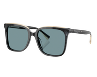 Brunello Cucinelli BC4007S Sunglasses