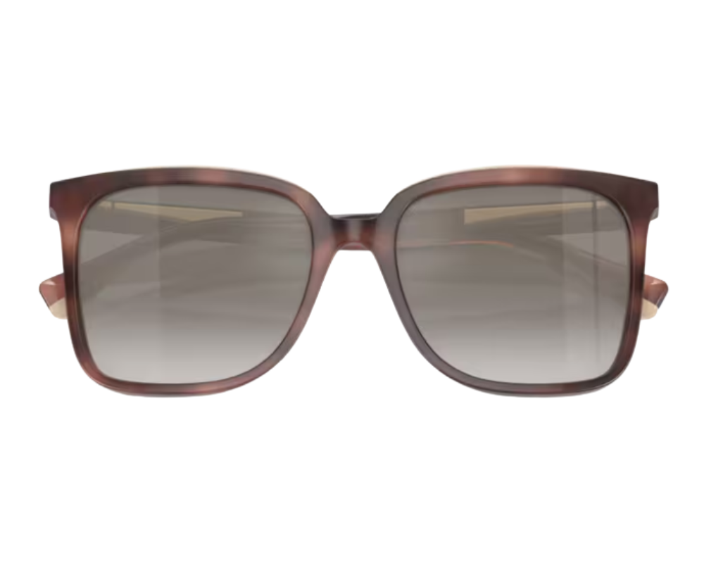 Brunello Cucinelli BC4007S Sunglasses