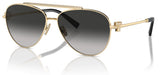Gafas de sol Tiffany & Co TF3101B