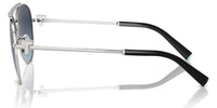 Tiffany & Co TF3101B Sonnenbrille