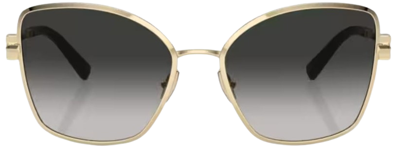 Sonnenbrille Tiffany & Co TF3102B