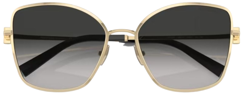 Sonnenbrille Tiffany & Co TF3102B