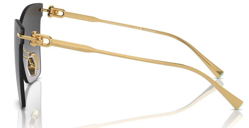 Tiffany & Co TF3103K Sunglasses