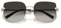Tiffany & Co TF3105D Sunglasses