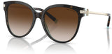 Tiffany & Co TF4193B Sunglasses