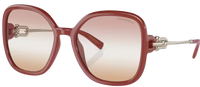 Tiffany & Co TF4202U Sunglasses