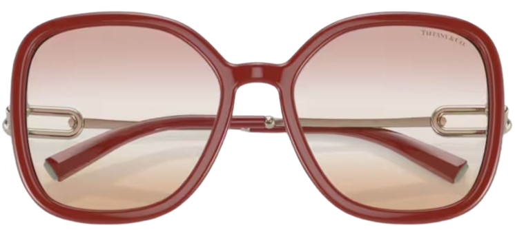 Tiffany & Co TF4202U Sunglasses