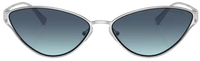 Tiffany & Co TF3095 Sunglasses