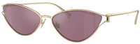 Tiffany & Co TF3095 Sunglasses