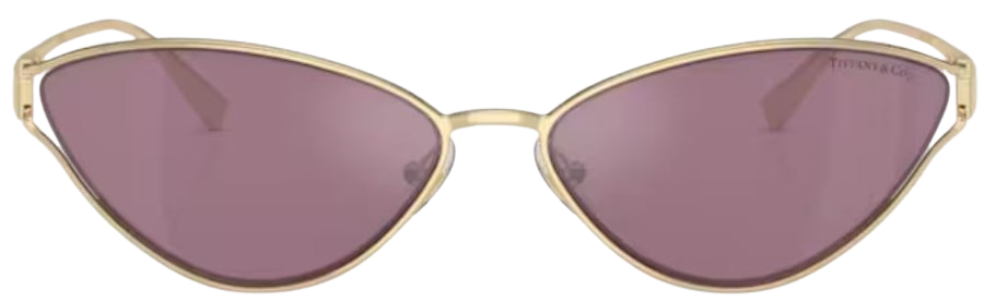 Tiffany & Co TF3095 Sunglasses