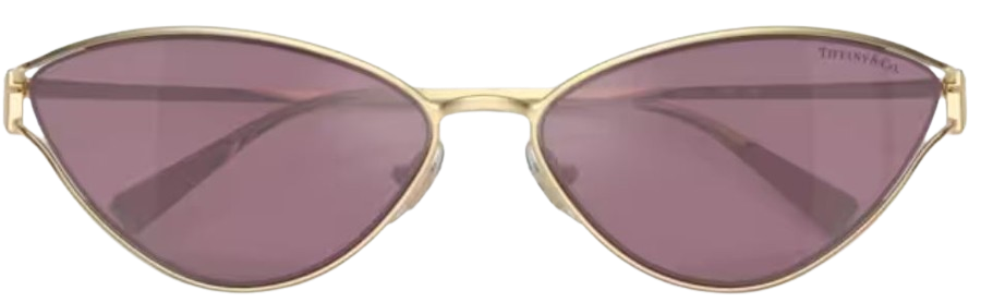 Tiffany & Co TF3095 Sunglasses
