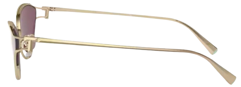 Tiffany & Co TF3095 Sunglasses