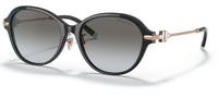 Tiffany & Co TF4188D Sunglasses
