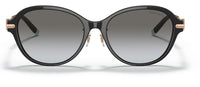 Tiffany & Co TF4188D Sunglasses