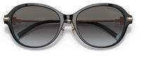 Tiffany & Co TF4188D Sunglasses