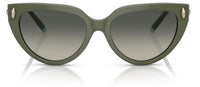 Tiffany & Co TF4195 Sunglasses