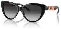 Tiffany & Co TF4196 太阳镜