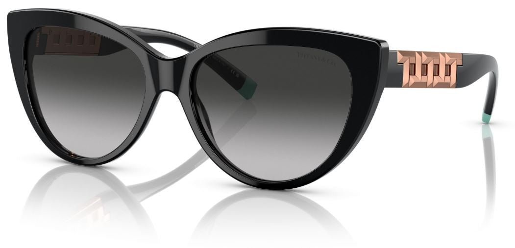 Tiffany & Co TF4196 太阳镜