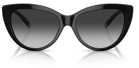 Tiffany & Co TF4196 太阳镜