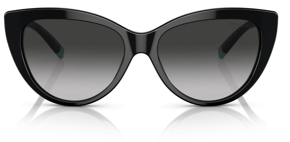 Tiffany & Co TF4196 太阳镜