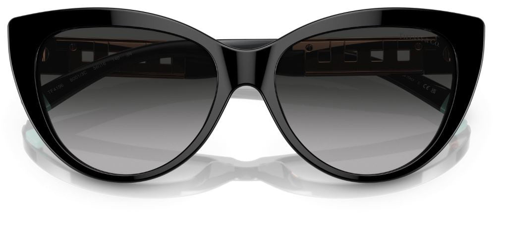 Tiffany & Co TF4196 太阳镜